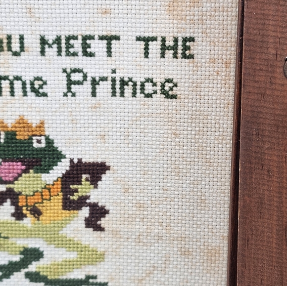 MCM Wood Framed Frog Cross Stitch Art Work Kiss Toads Before Prince Eat Bugs Vtg - Picture 4 of 10
